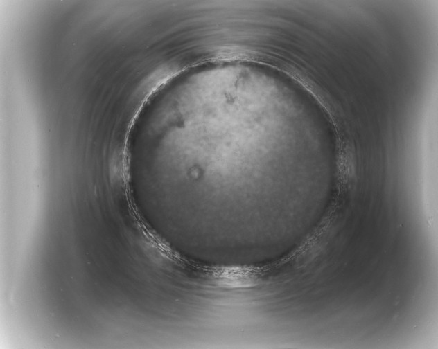 X0000103970832200810031222