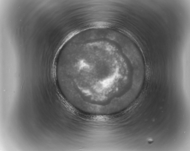 X0000103970835200810031223