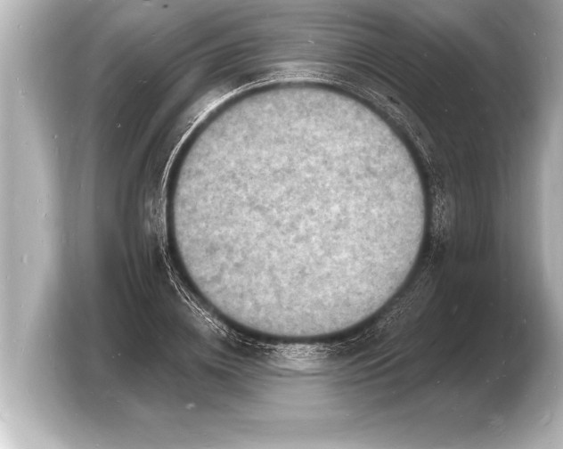 X0000103970836200810031223