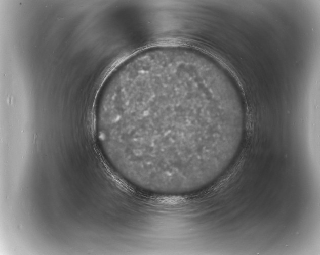 X0000103970837200810031223