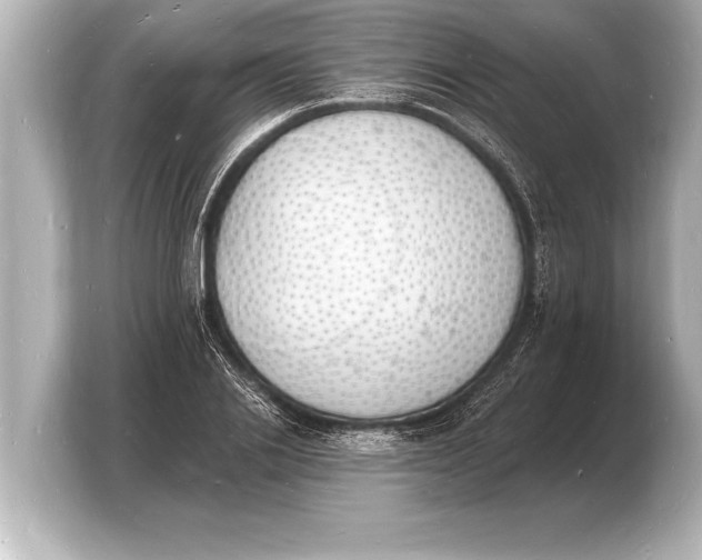 X0000103970838200810031223