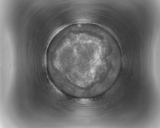 X0000103970839200810031223