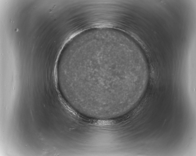 X0000103970840200810031223