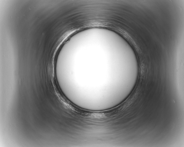 X0000103970844200810031223