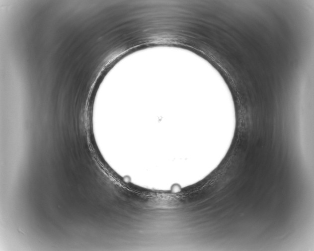 X0000103970848200810031223