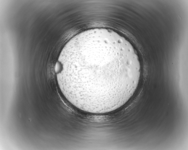 X0000103970849200810031223