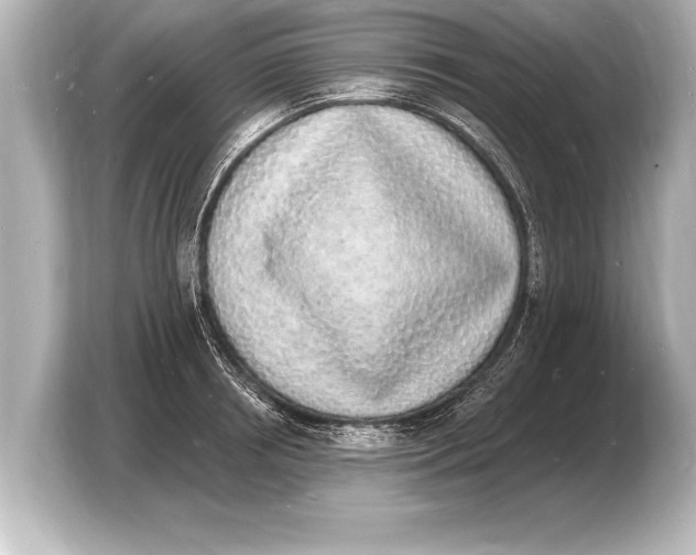 X0000103970850200810031223