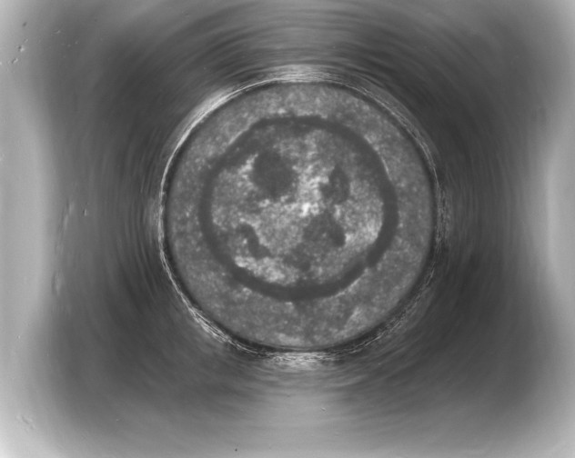 X0000103970853200810031223