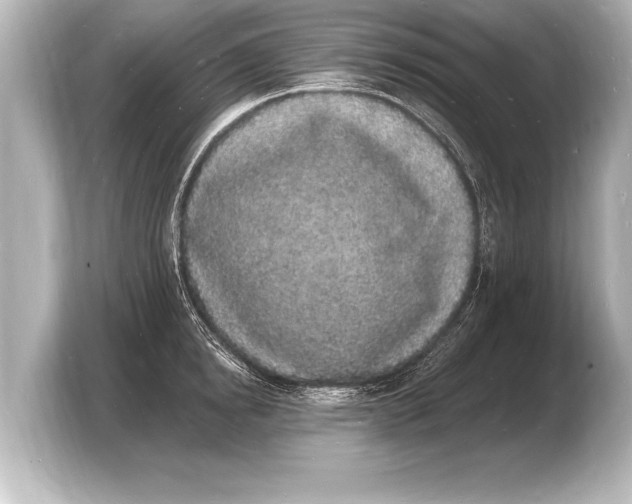 X0000103970854200810031223