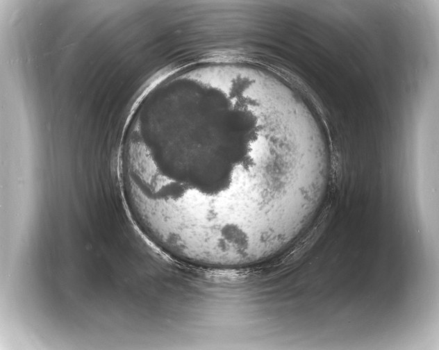 X0000103970855200810031223