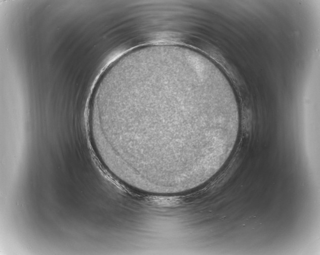 X0000103970856200810031223