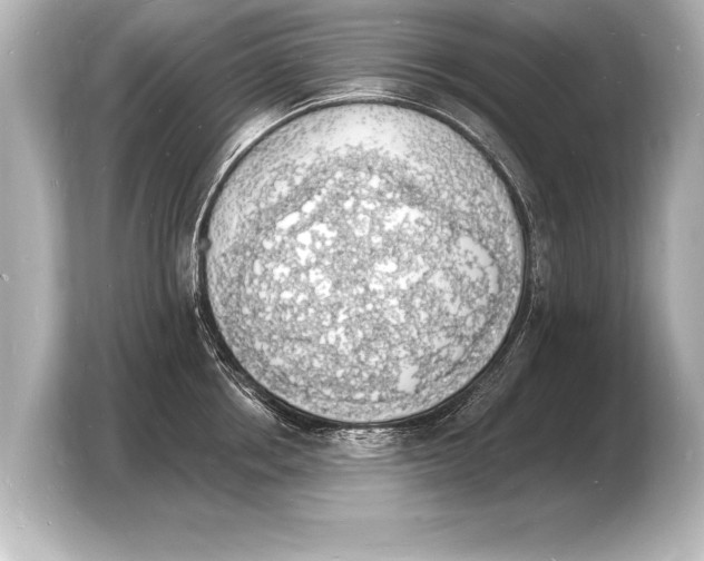 X0000103970858200810031223