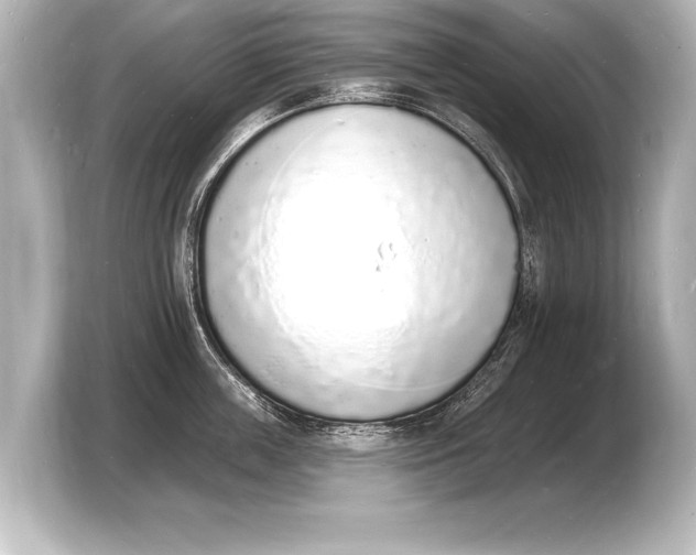 X0000103970859200810031223