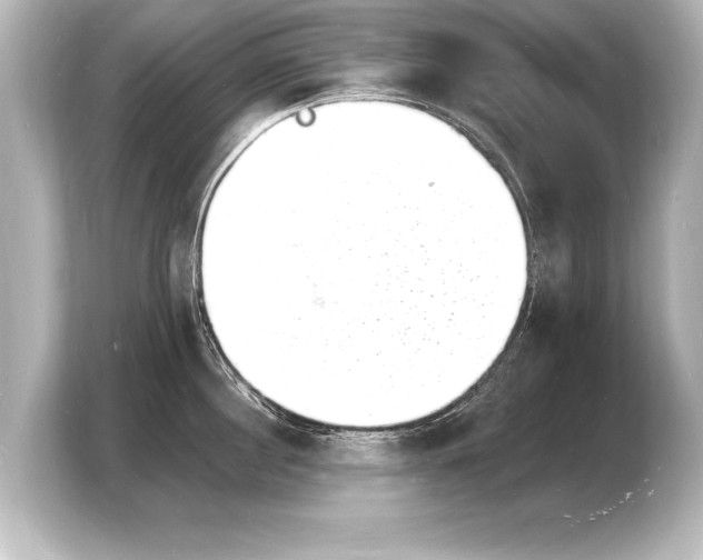 X0000103970860200810031223