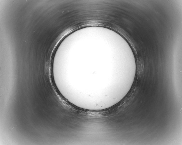 X0000103970861200810031223