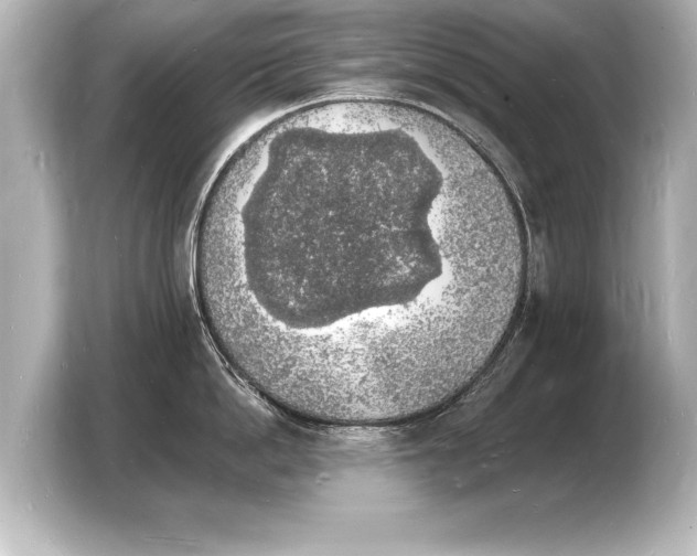 X0000103970862200810031223