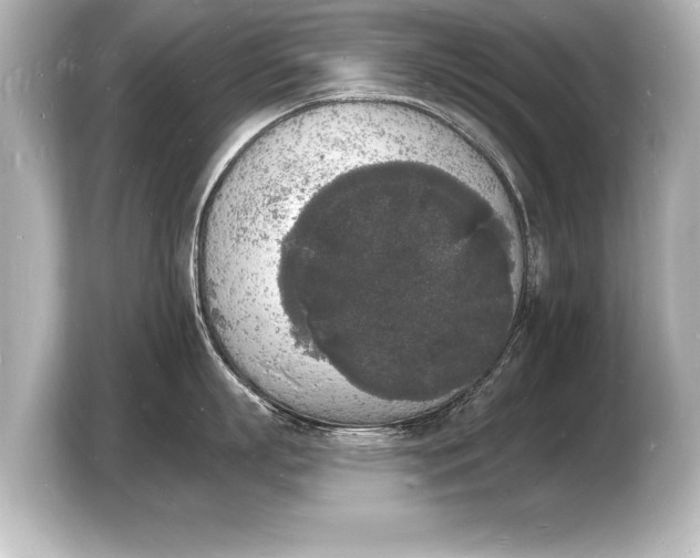 X0000103970863200810031223