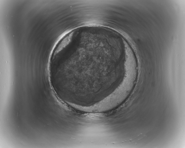 X0000103970864200810031223