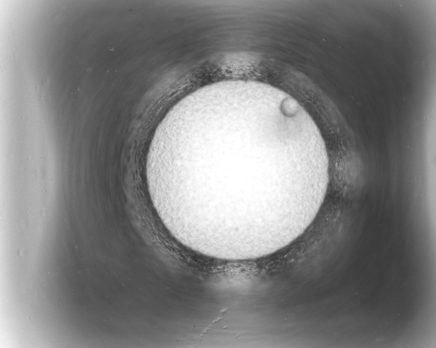 X0000103970865200810031222