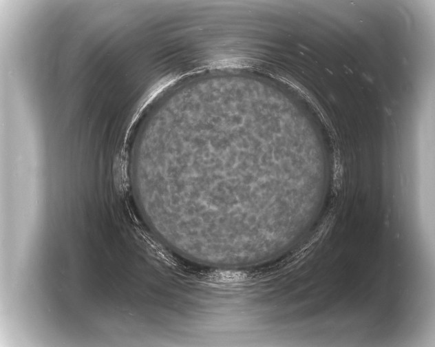 X0000103970878200810031222