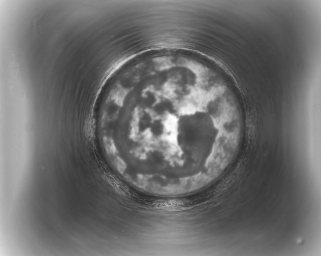 X0000103970879200810031222