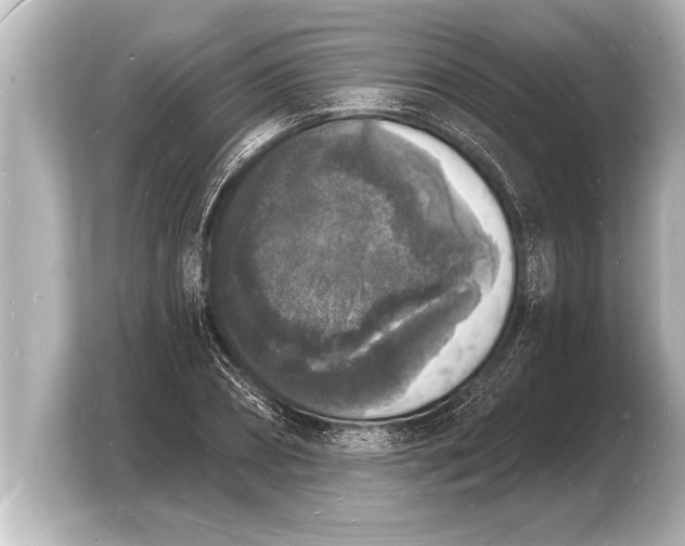 X0000103970882200810031222