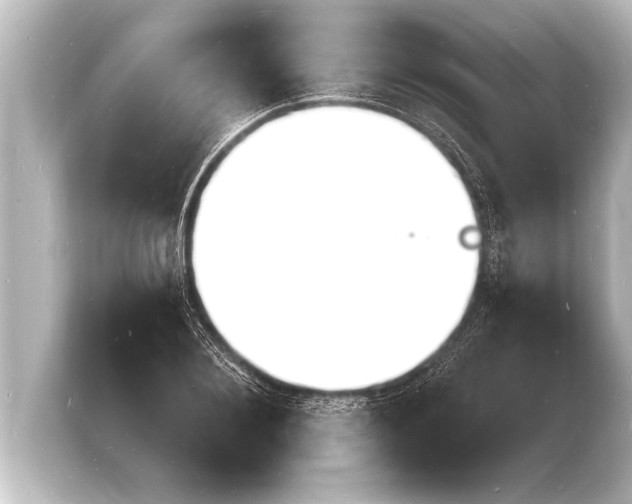 X0000103970884200810031222