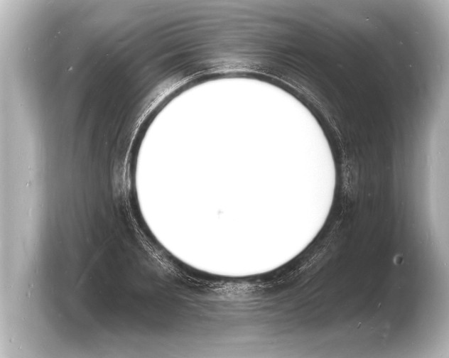 X0000103970885200810031222