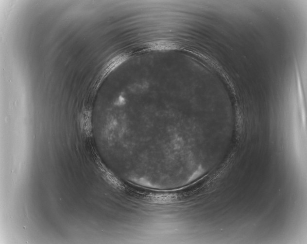 X0000103970889200810031222