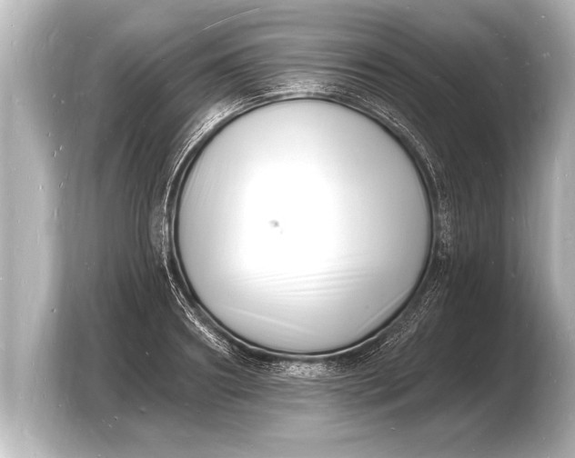 X0000103970890200810031222