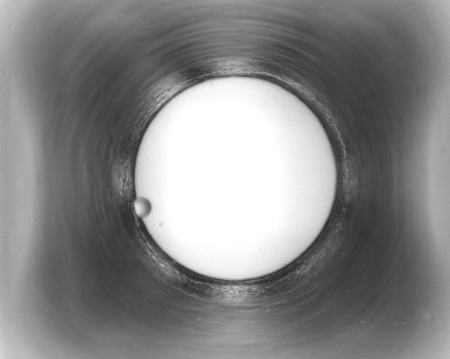 X0000103970897200810031222