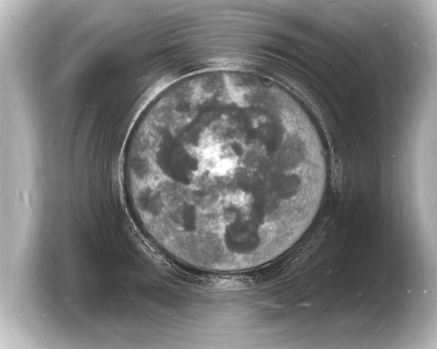 X0000103970899200810031222