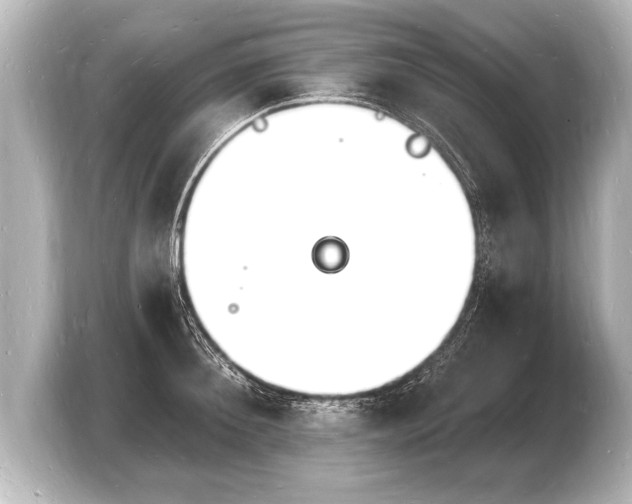 X0000103970900200810031222