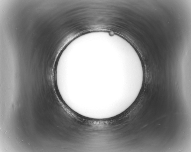 X0000103970901200810031222