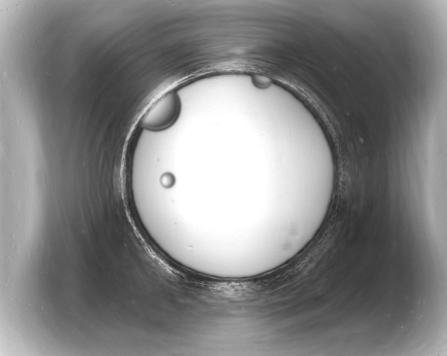 X0000103970902200810031222