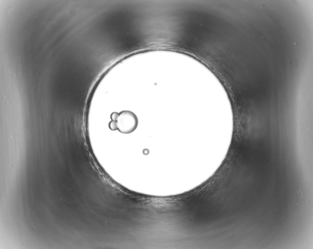 X0000103970904200810031222