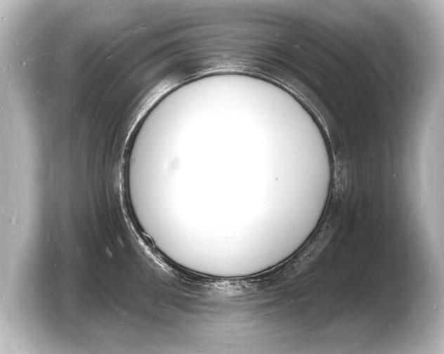 X0000103970906200810031222