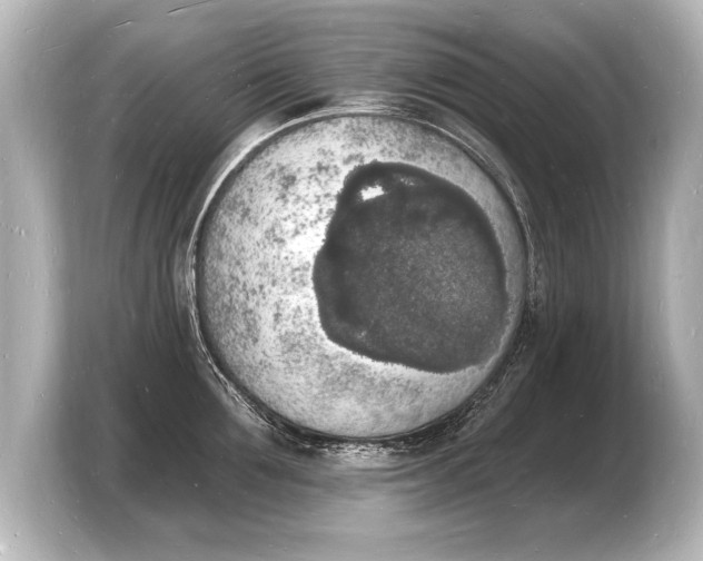 X0000103970907200810031222