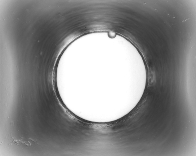 X0000103970909200810031222