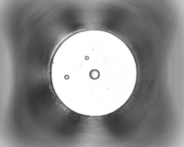 X0000103970912200810031222