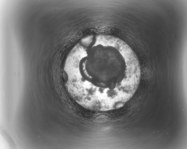 X0000103970913200810031221