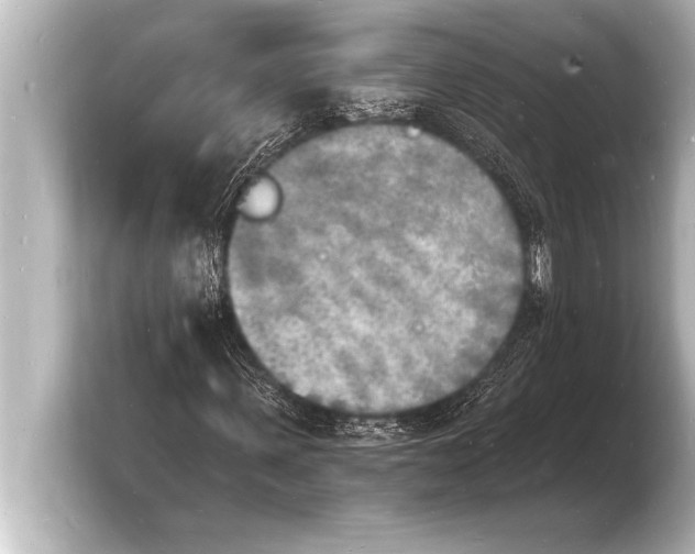 X0000103970915200810031221