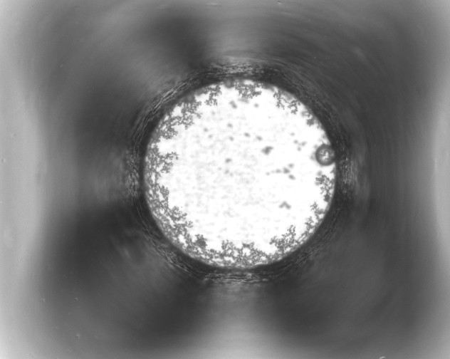 X0000103970916200810031221