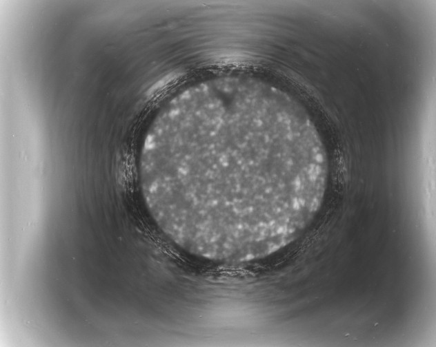 X0000103970918200810031221