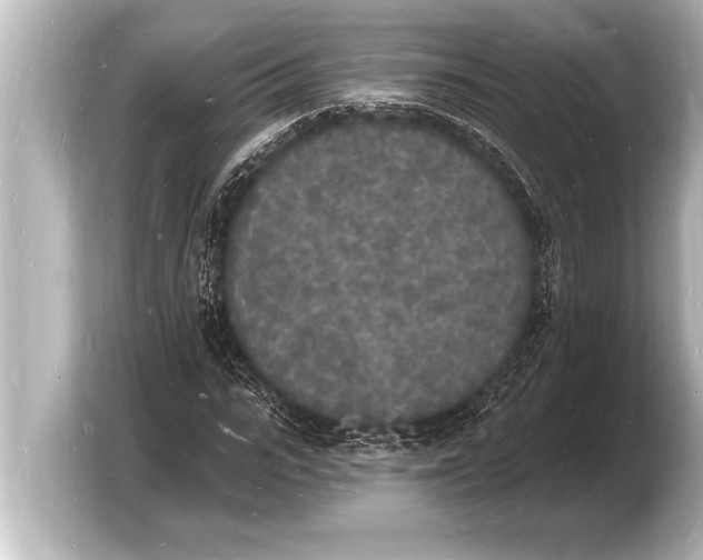 X0000103970919200810031221