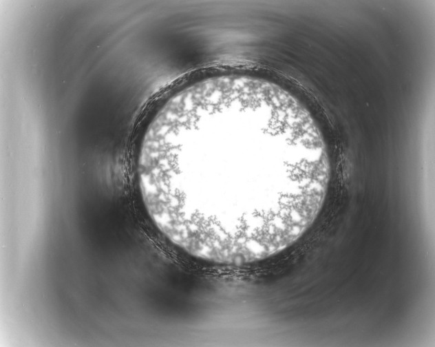 X0000103970920200810031221