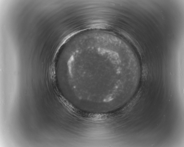 X0000103970923200810031221