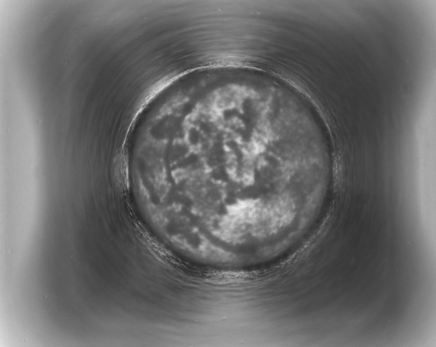 X0000103970925200810031221