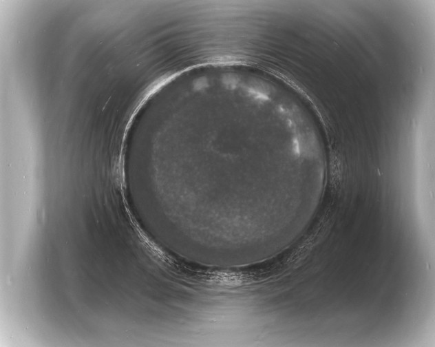 X0000103970935200810031221