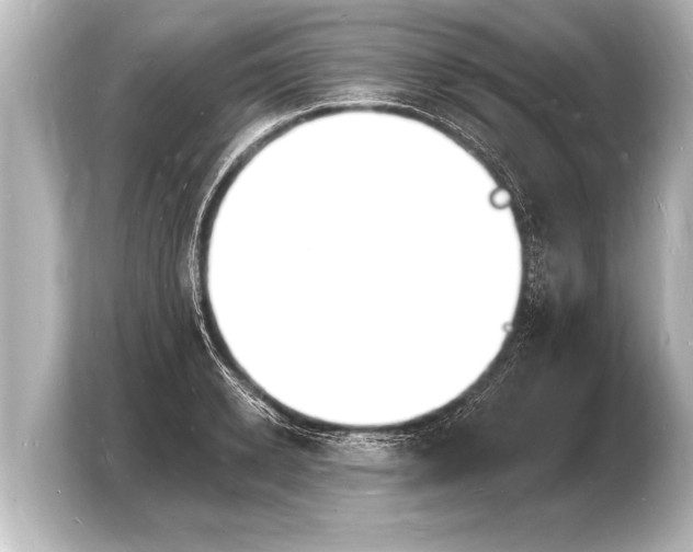 X0000103970942200810031221